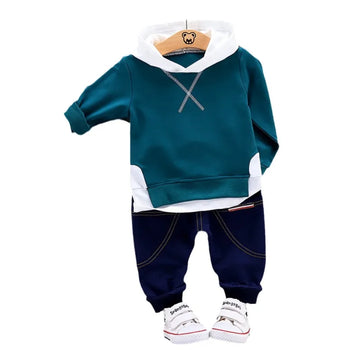2Pcs/Sets Toddler Tracksuits with hoodie