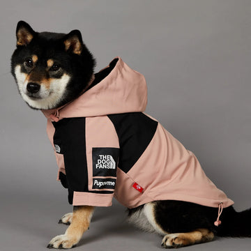 Pet Raincoat Hoodie