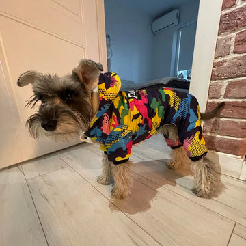 Pet hoodie coat for Winter dog baby