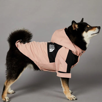 Pet Raincoat Hoodie