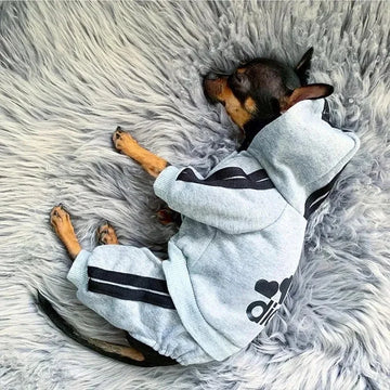 Pet Hoodie Fleece Jumpsuit