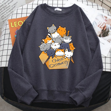 Over Catpawcity Cats in a box hoodie funny