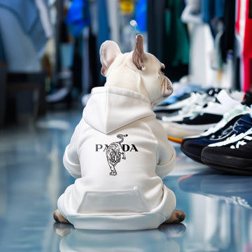 Pawda Tiger pet hoodie