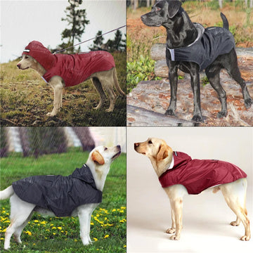 Pet Raincoat Waterproof Hoodie