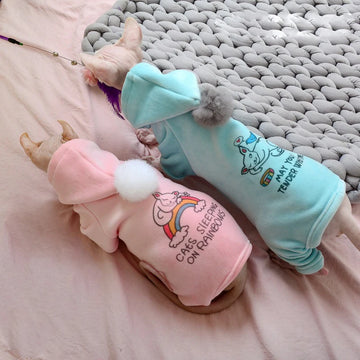 Pet hoodie. Cats sleeping on rainbows. May you be tender with time.