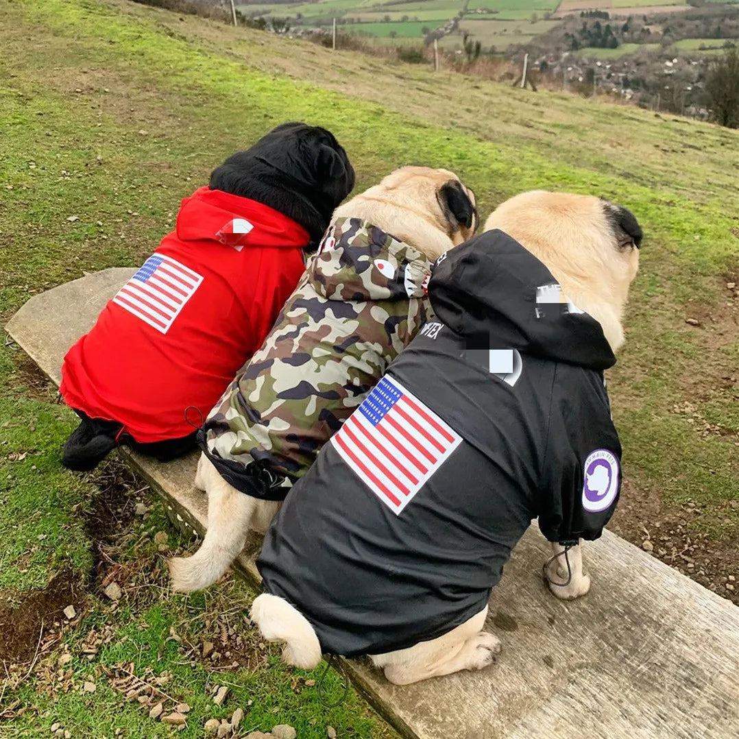 Pet Raincoat hoodie