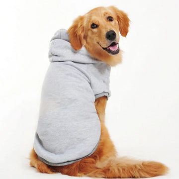 Pet Hoodie