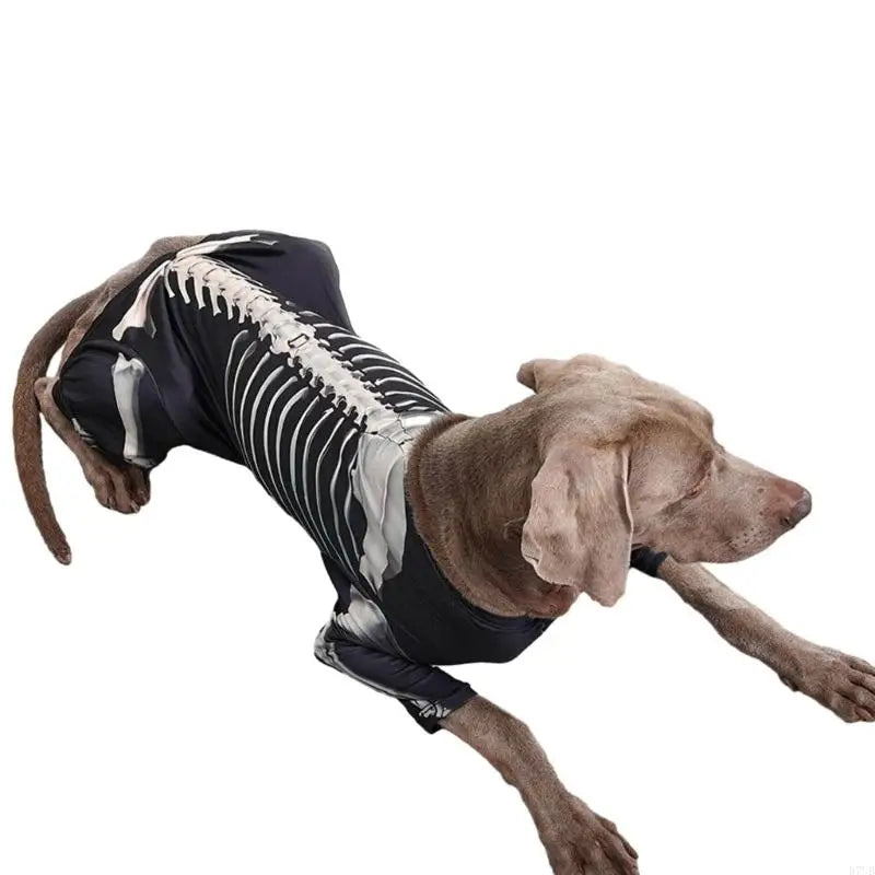 Pet Skeletons Costume Halloween