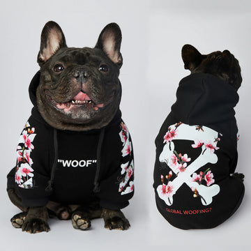 Woof Pet Hoodie