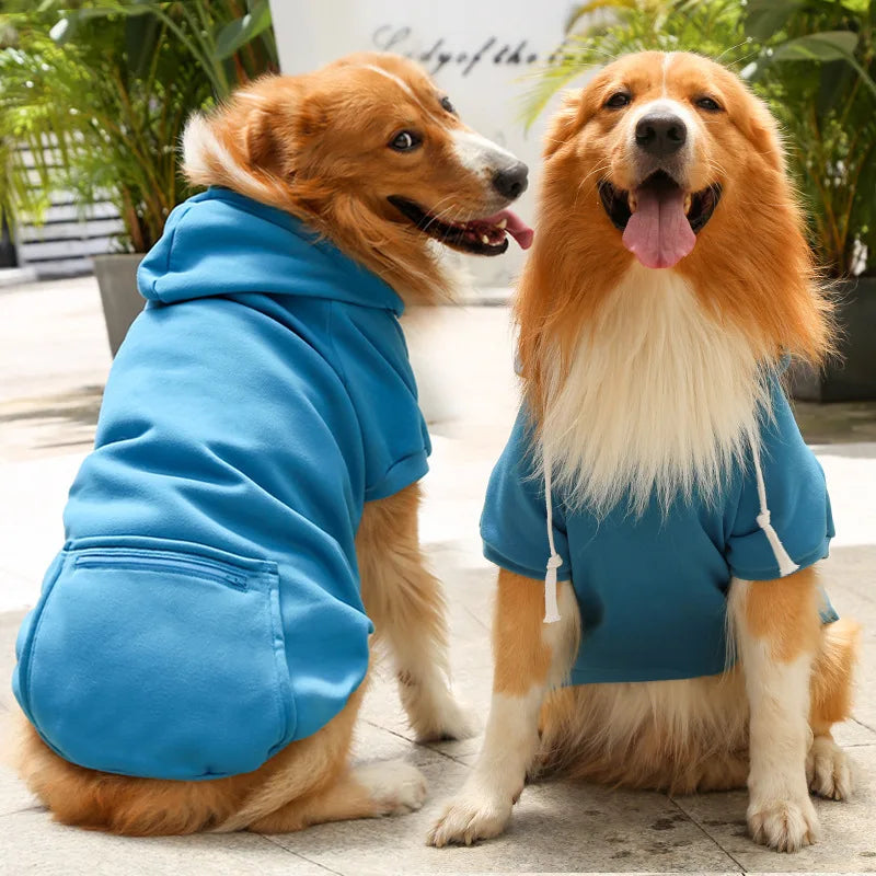 Plain pet hoodie with zipper pocket